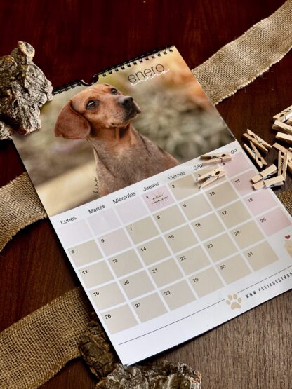 CALENDARIO 2026 SOLIDARIO - Animales abandonados - Imagen 3