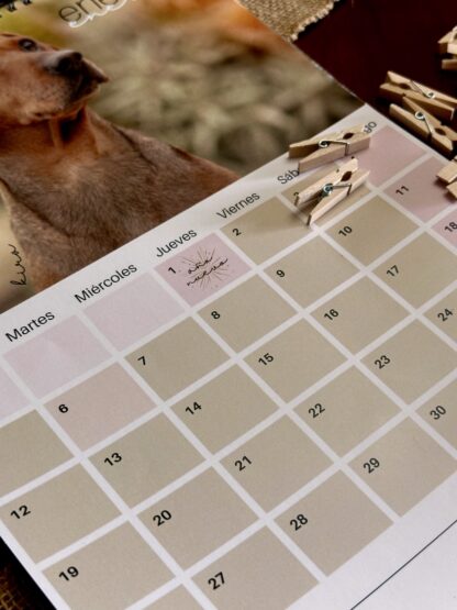 CALENDARIO 2026 SOLIDARIO - Animales abandonados - Imagen 5
