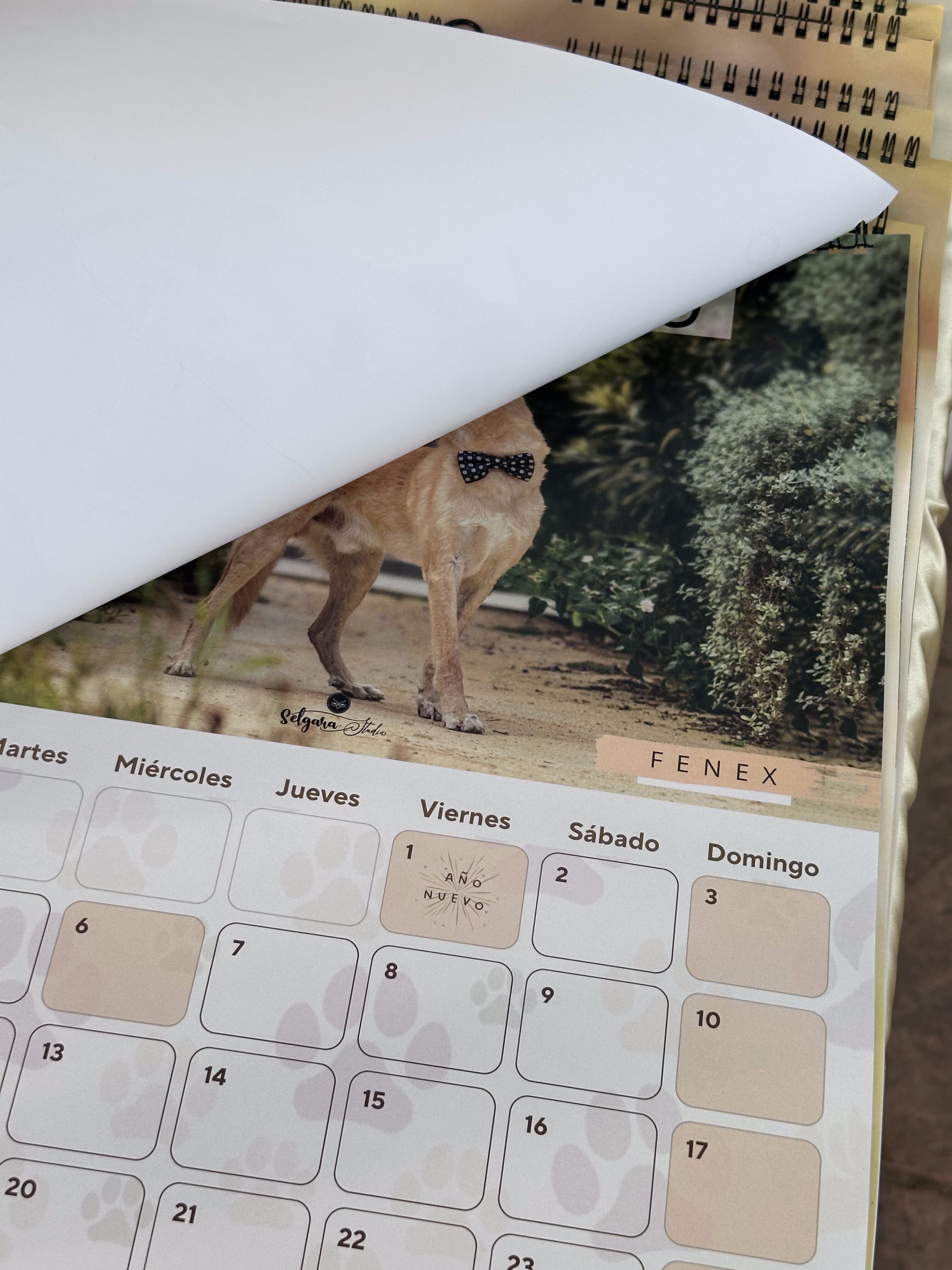 CALENDARIO SOLIDARIO 2027 - PETJADES TROBADES | Nuestros peludos - Imagen 2