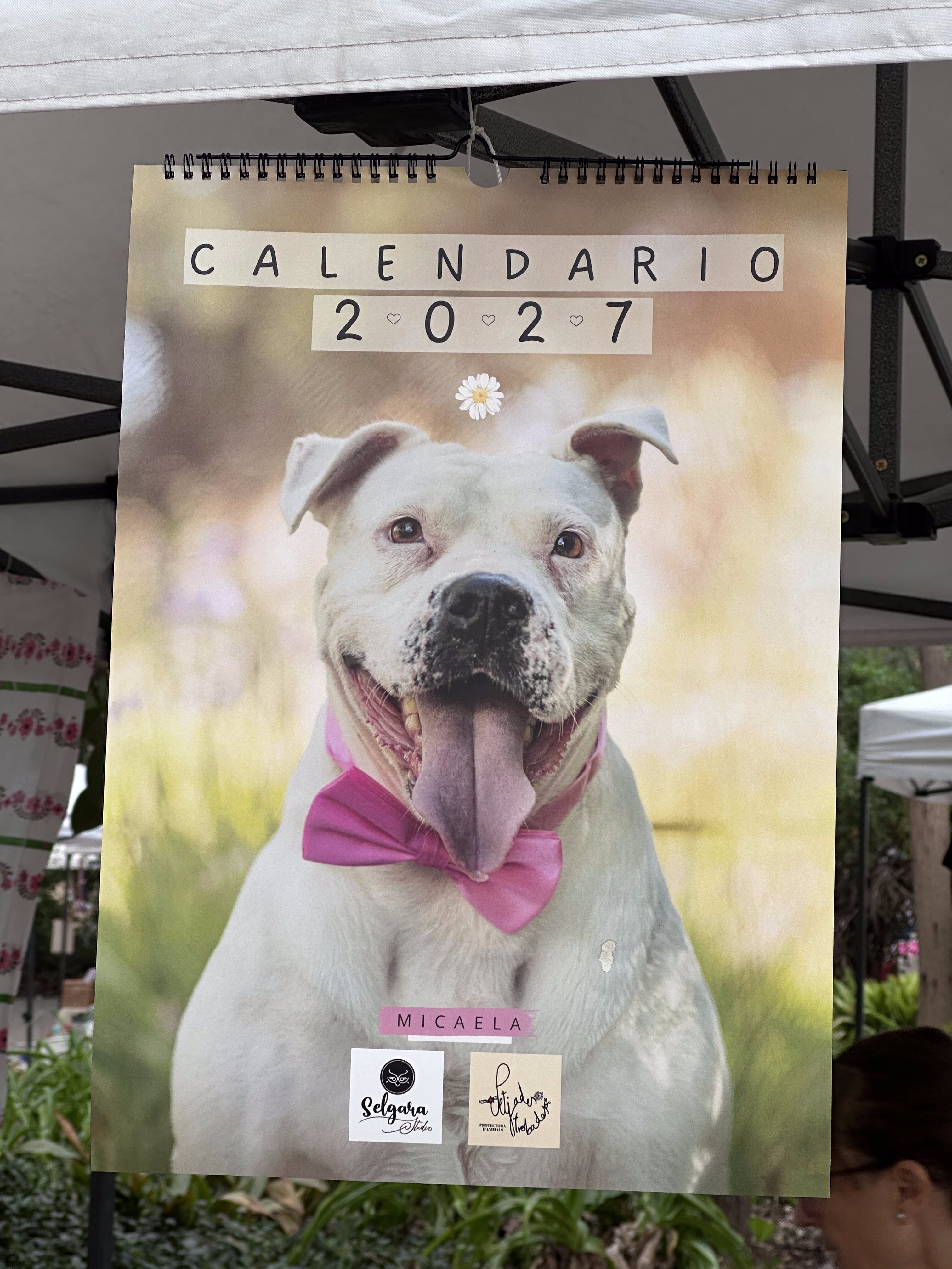 CALENDARIO SOLIDARIO 2027 - PETJADES TROBADES | Nuestros peludos - Imagen 5