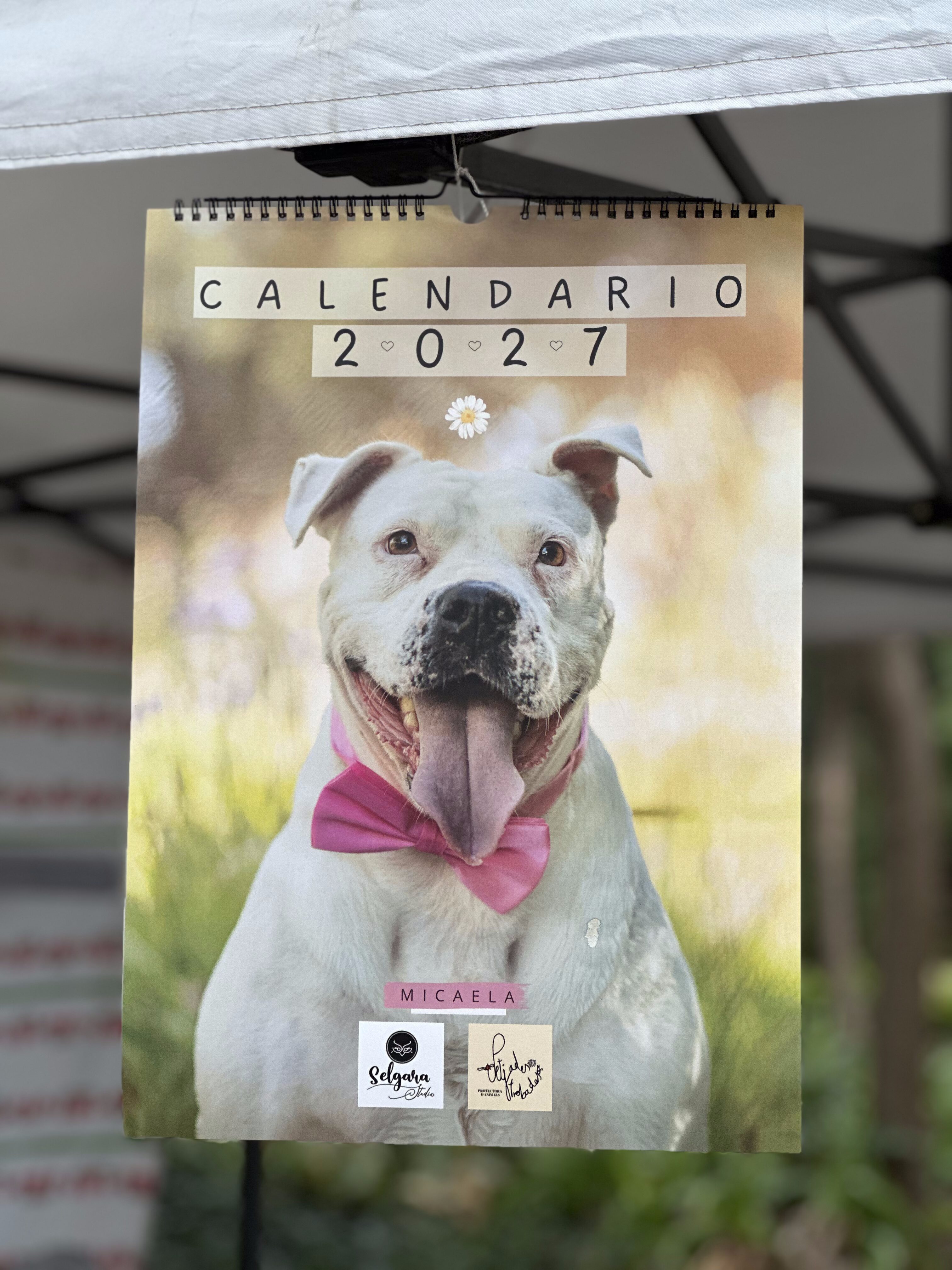 CALENDARIO SOLIDARIO 2027 - PETJADES TROBADES | Nuestros peludos